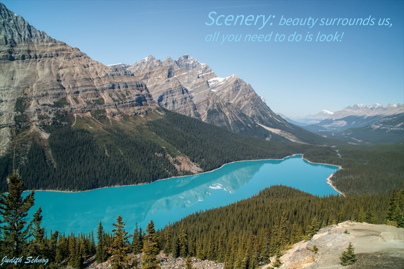 scenery